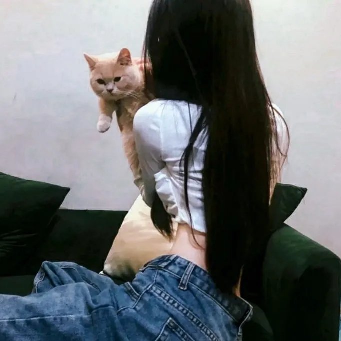 她的重生封面