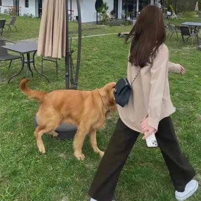 狗剩子的春天封面