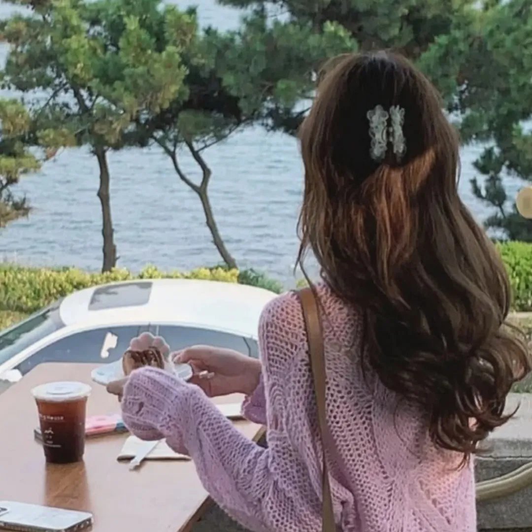 万里寻妹封面